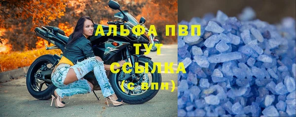 спайс Беломорск