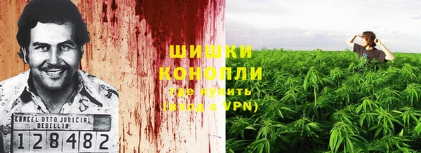 спайс Беломорск