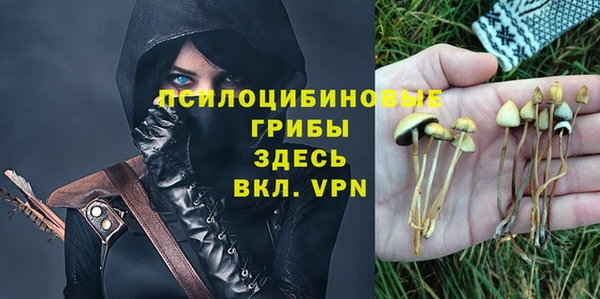 спайс Беломорск
