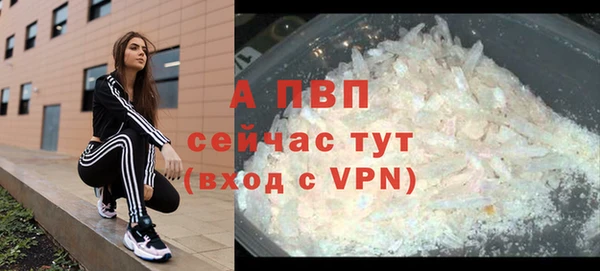 PSILOCYBIN Сатка
