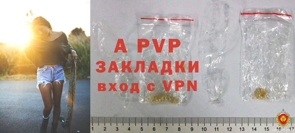 PSILOCYBIN Белоозёрский